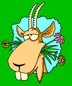 12 04 Anniversaires Colain Frederic Desmoseb Doug Haras De Marwood Jeanville Malaudo Miraflor Pipio Salicapi Sepale