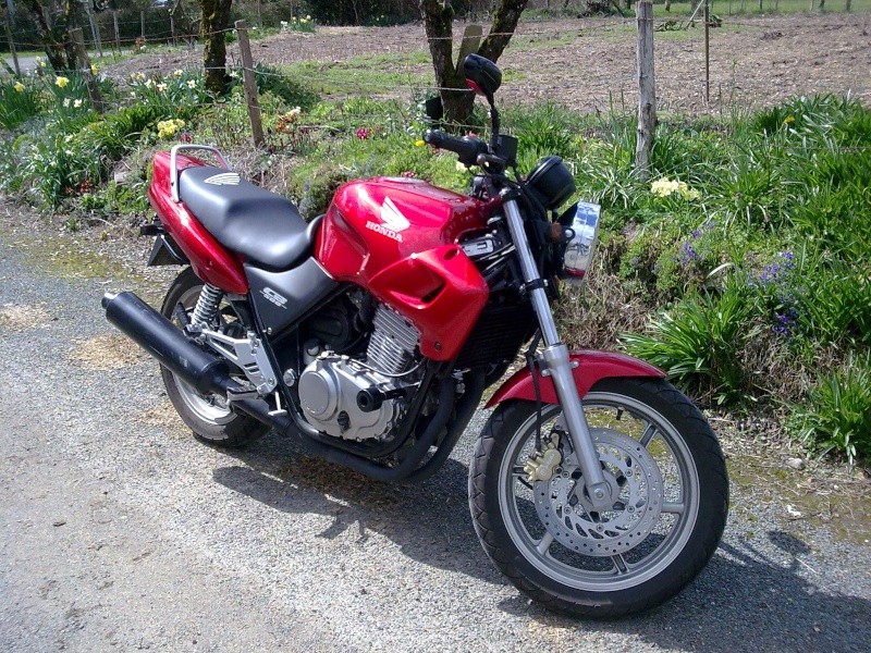 [HONDA] 500 CB (nouveau pot) Photo015