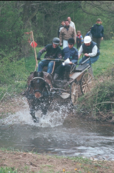 Concours : "les chevaux et l'eau" GAGNANT : "crinbleu" - Page 2 Eau12