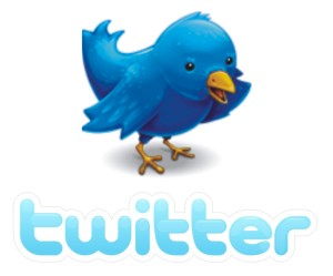 Por que o símbolo do twitter é aquele passarinho simpático? Twitte11