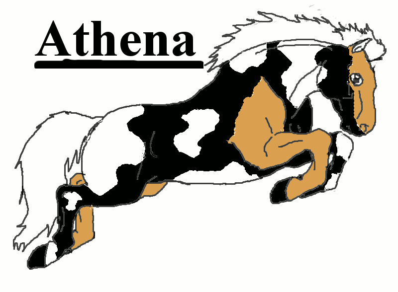 Angelinas Pferde Athena10