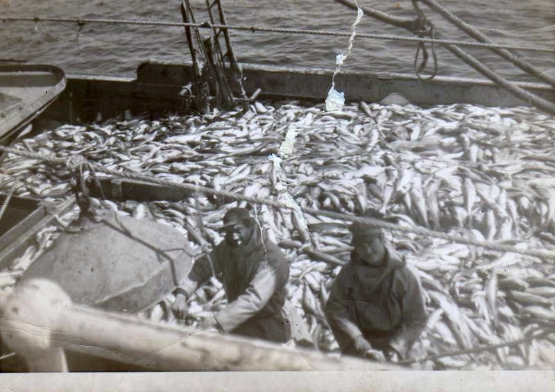 quelle huile vous mettez pour faire mariner les harengs fumés avec les oignons ? Galler10