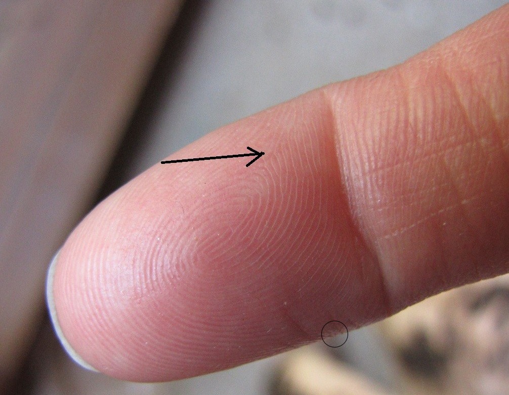 What is this fingerprint? Finger10