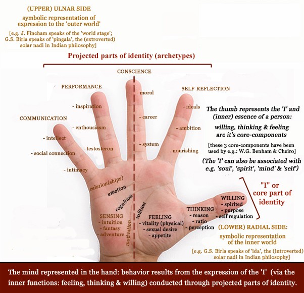 I - The thumb represents the inner essence of man! - Page 10 Thumb-14