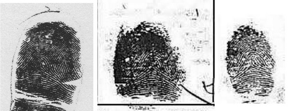 X - WALT DISNEY - One of his fingerprints shows an unusual characteristic! - Page 14 A_disn10