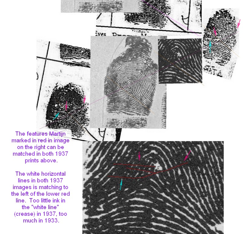 X - WALT DISNEY - One of his fingerprints shows an unusual characteristic! - Page 14 A_disn12