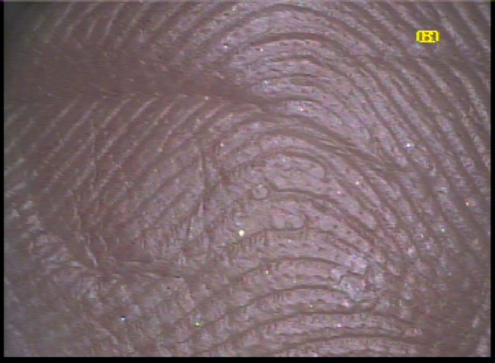 X - WALT DISNEY - One of his fingerprints shows an unusual characteristic! - Page 24 Dot_la10