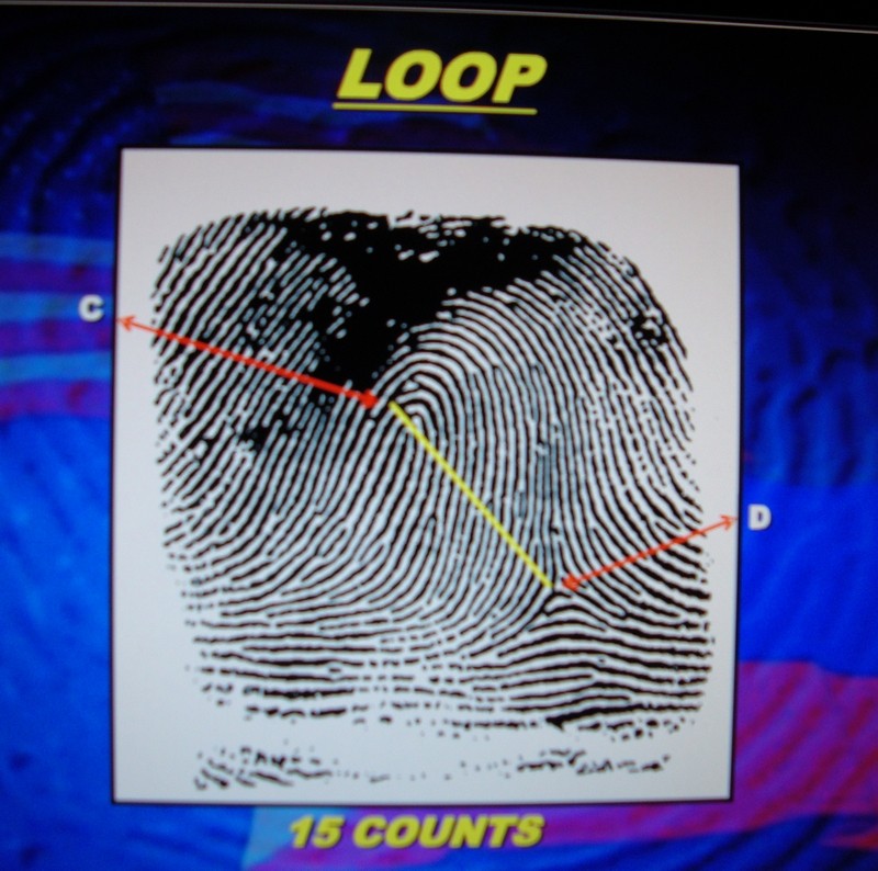 X - WALT DISNEY - One of his fingerprints shows an unusual characteristic! - Page 23 Dsc08113