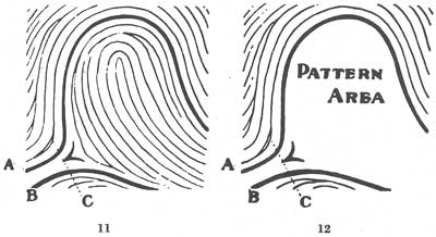 X - WALT DISNEY - One of his fingerprints shows an unusual characteristic! - Page 15 Fig01110