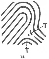 X - WALT DISNEY - One of his fingerprints shows an unusual characteristic! - Page 15 Fig01410