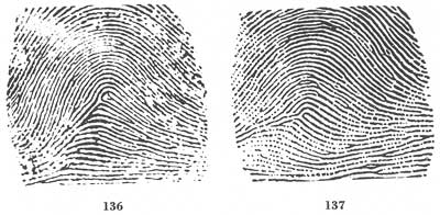 X - WALT DISNEY - One of his fingerprints shows an unusual characteristic! - Page 22 Fig13613