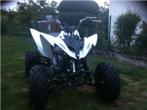 YAMAHA YFM 250 RAPTOR Getatt18