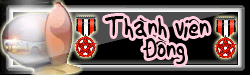 MEMBER MEMBER