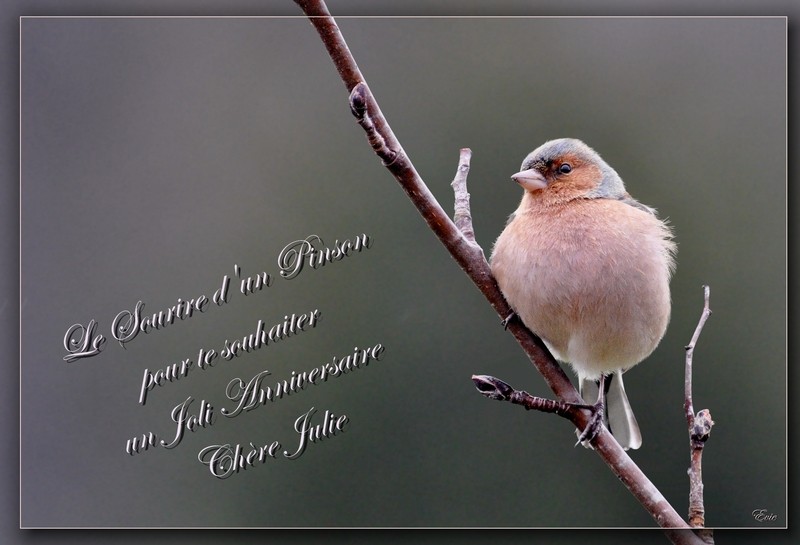 Joyeux Anniversaire Page 23 Joyeux Anniversaire Page 23