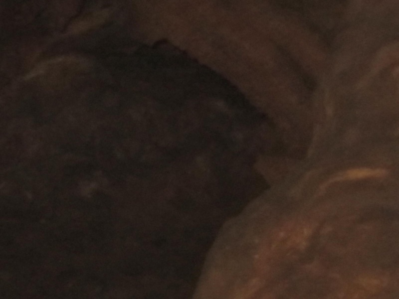 Sortie Grotte des Rampins le 13.11.2010. Img_0131