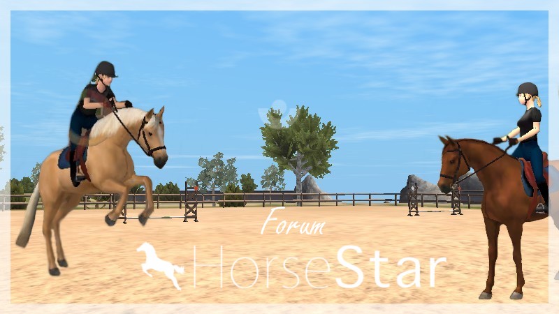 Aide pour le jeu HorseStar.com