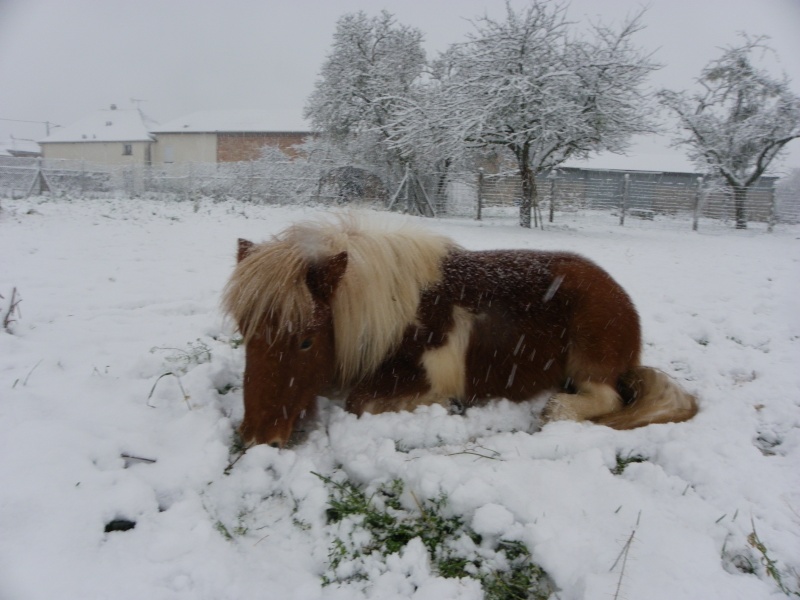 Mes ptit lou dans la neige Imgp6410