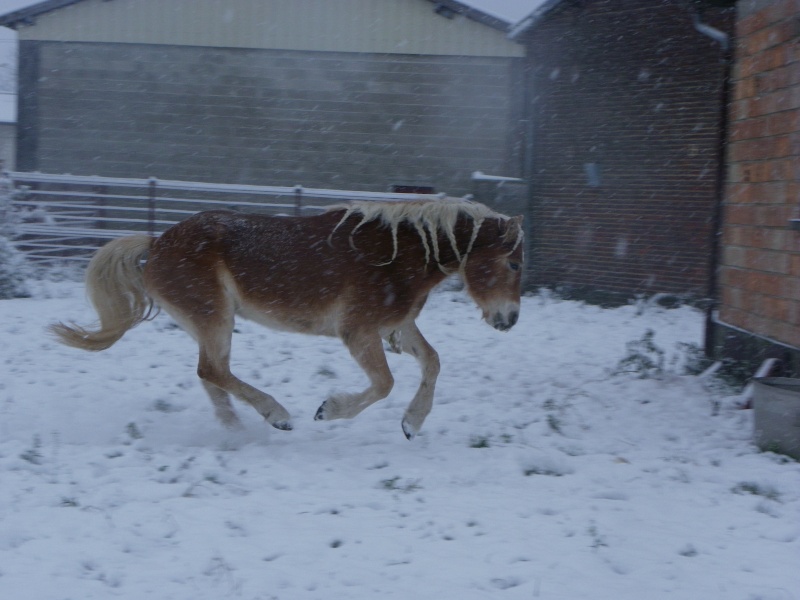 Mes ptit lou dans la neige Imgp6412