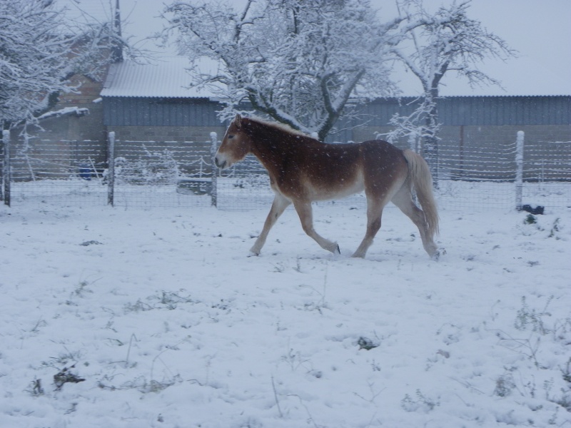 Mes ptit lou dans la neige Imgp6514