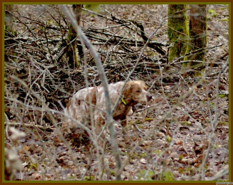 Promenades en Franche Comté 0ead0810