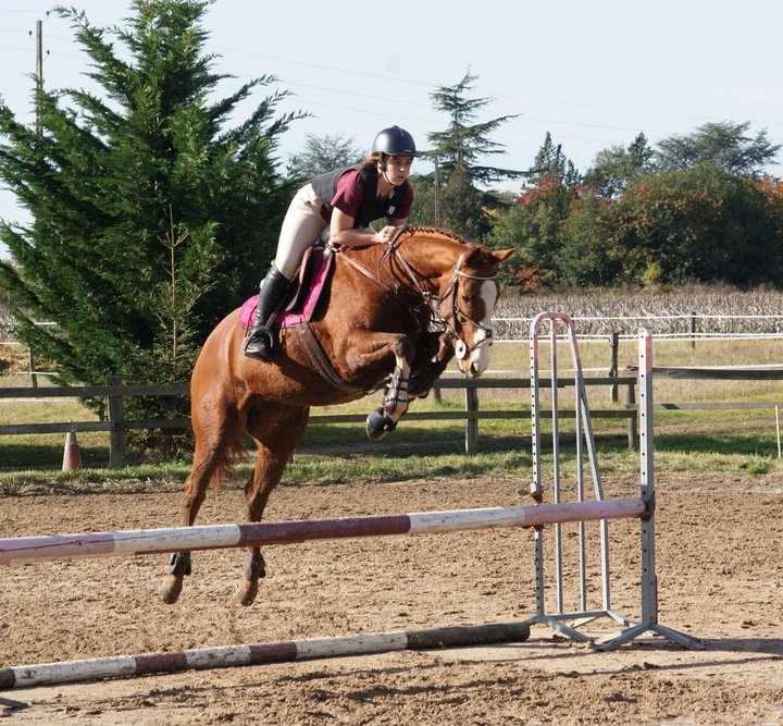 Vos poneys et chevaux en saut d'obstacle Untitl11