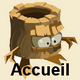 Accueil