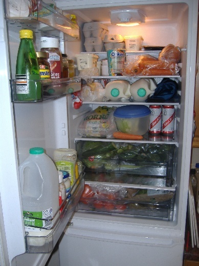What does your fridge look like  My10