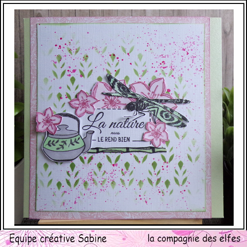 Cartes libellule 3/3 Sabin120