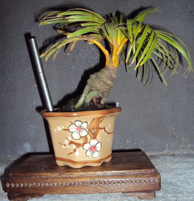 Anyone tried working with Palm trees Anyone tried working with Palm trees