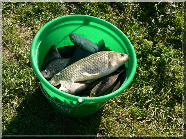 Sortie pesca du 24.03.2011 P510