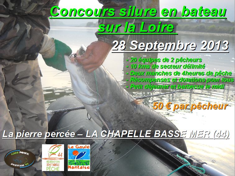 Concours silure en bateau sur la Loire dans le 44 - 28 septembre 2013 ! Affich10