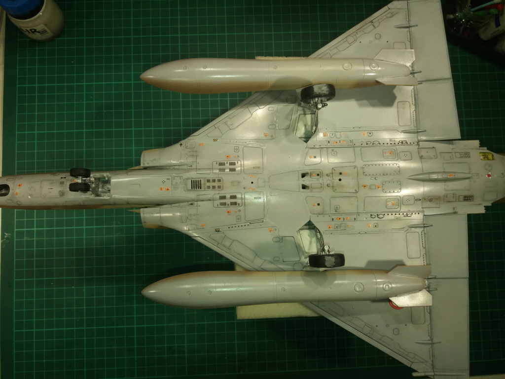 [Kitty Hawk] 1/32 - Dassault Mirage 2000N  - Page 5 20220961