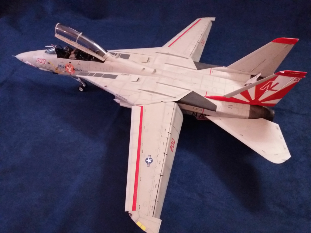 (KALEIDOSCOPE) Grumman F-14 TOMCAT (Toutes versions, tous pays, toutes échelles) 20221285