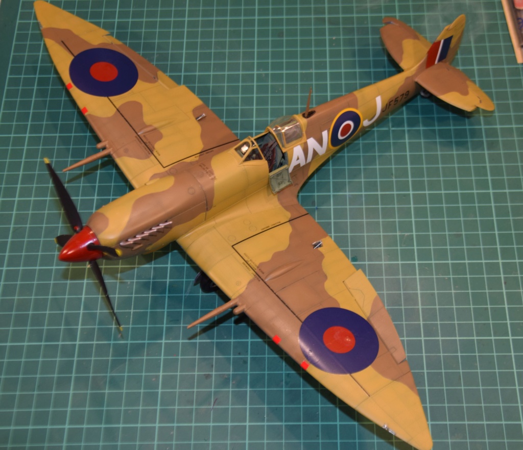 Spitfire MkVIII - Tamyia 1/32 - Page 4 Dsc_0317