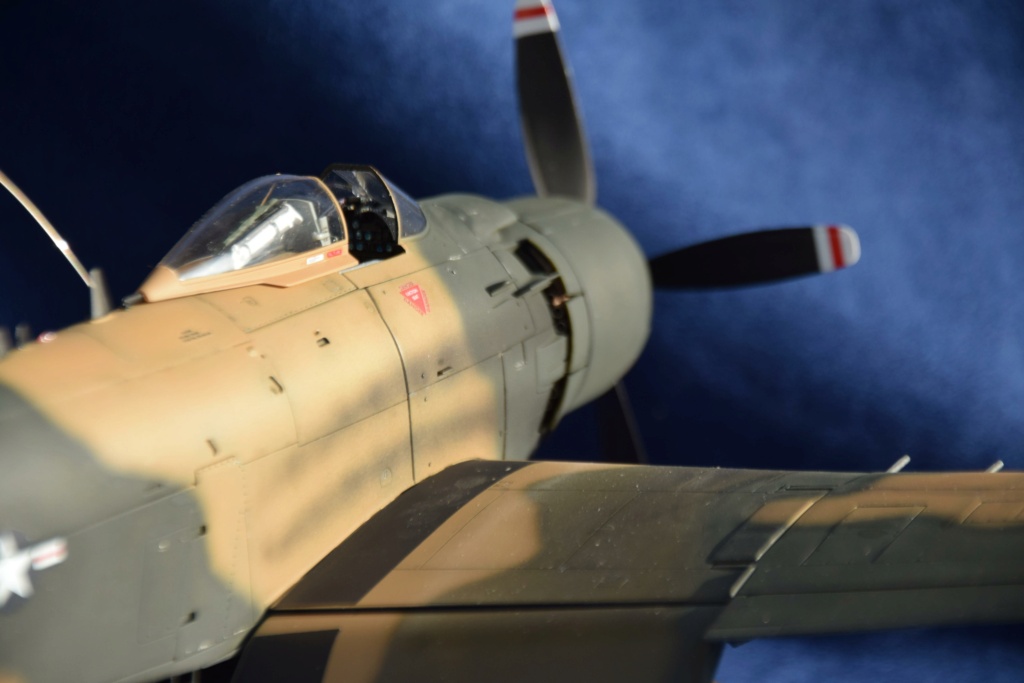 Douglas A-1J Skyraider [Zouke Mura 1/32°] de jeannot1 Dsc_0623
