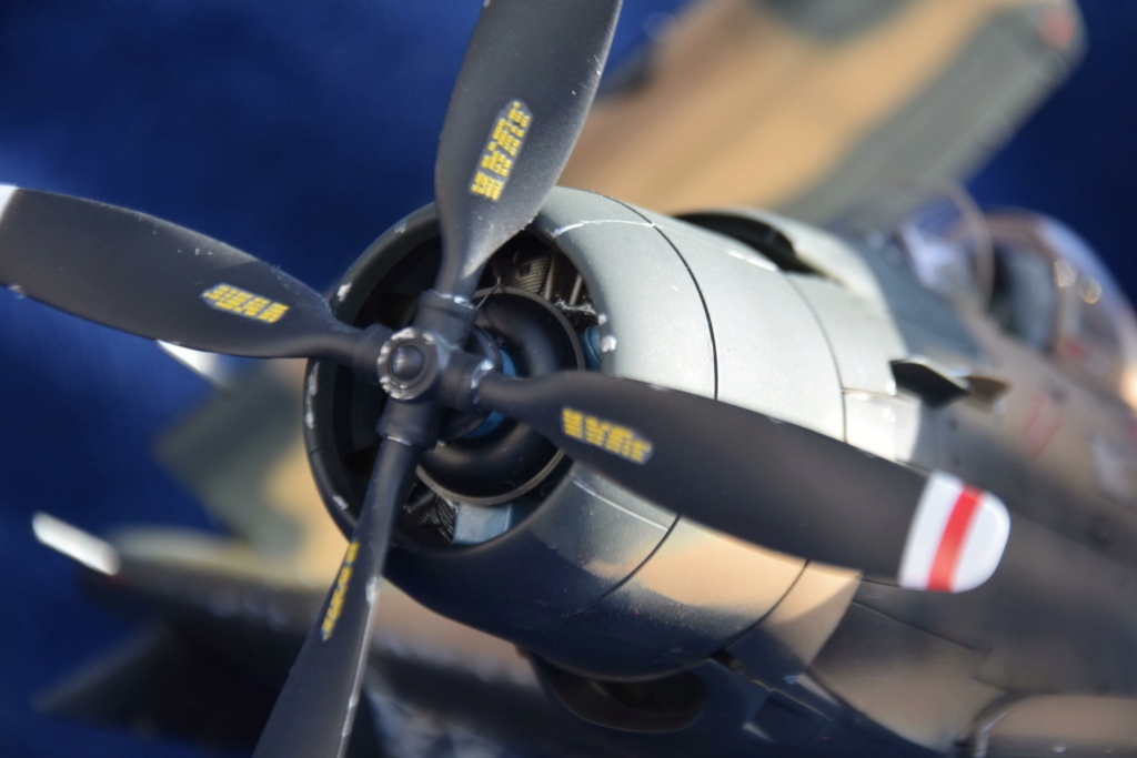 Douglas A-1J Skyraider [Zouke Mura 1/32°] de jeannot1 Dsc_0626