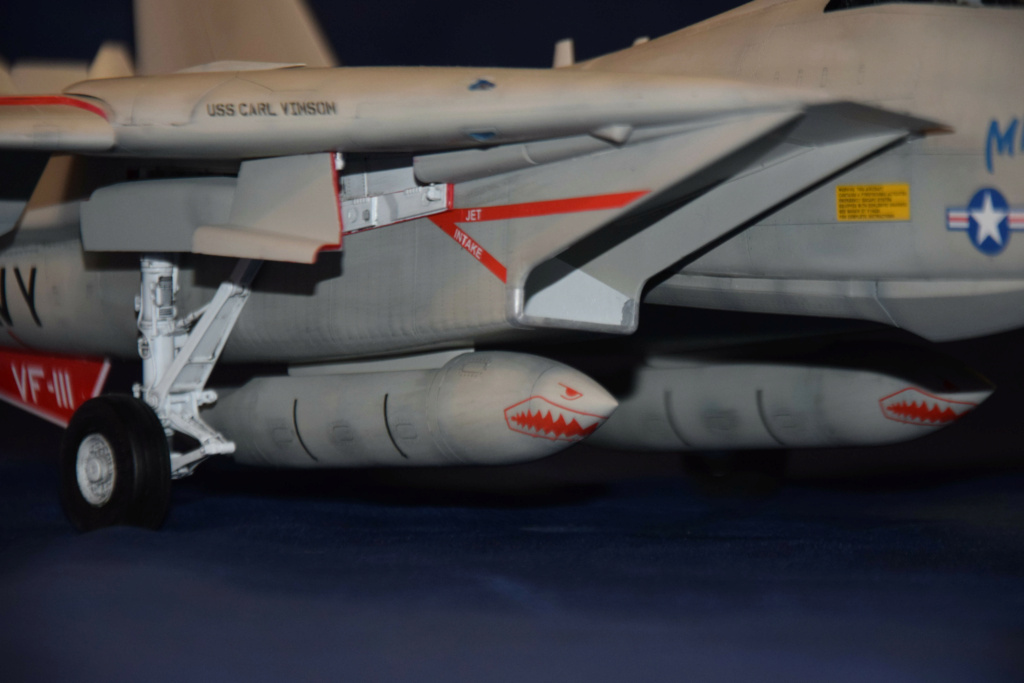 Grumman F-14A Tomcat [Trumpeter 1/32°] Dsc_0678