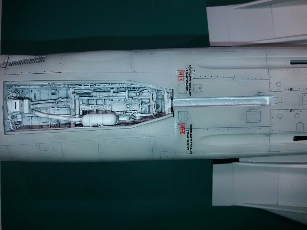 [Trumpeter] 1/32 - Grumman F-14A Tomcat  - Page 7 Front_10