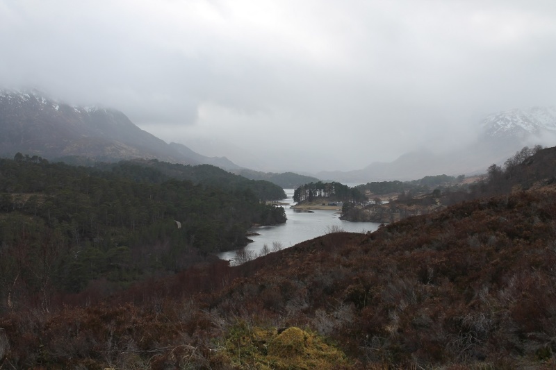 Glen Affric in Inverness-shire. Ga910