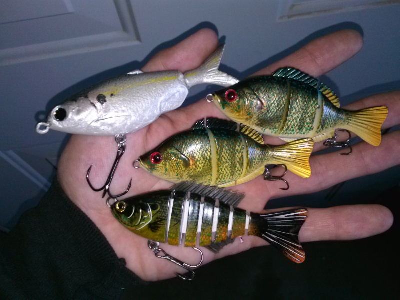 Brand new swimbaits up for Auction for Jeff! Cam00015