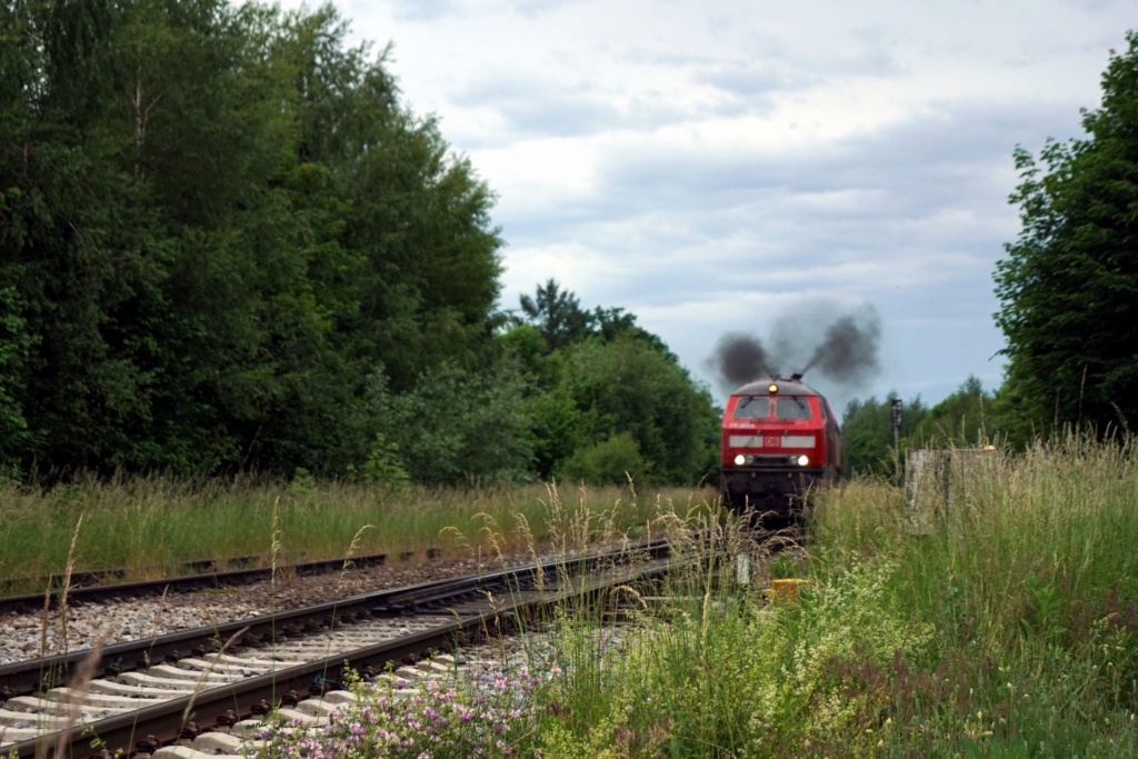 Matzes Eisenbahnfotos - Seite 2 Dsc00723