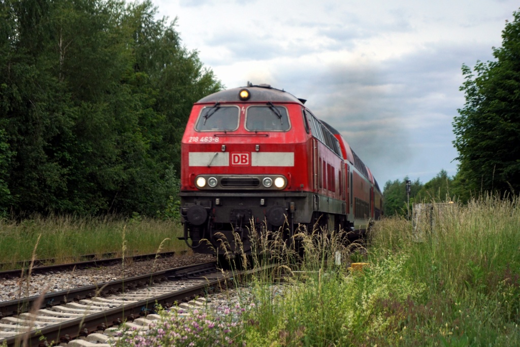 Matzes Eisenbahnfotos - Seite 2 Dsc00724