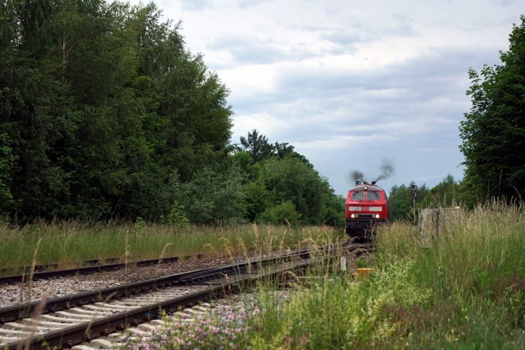 Matzes Eisenbahnfotos - Seite 2 Dsc00725