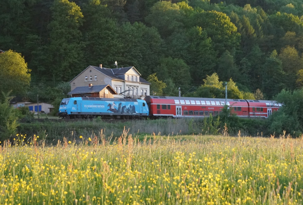 Matzes Eisenbahnfotos - Seite 2 Dsc02111
