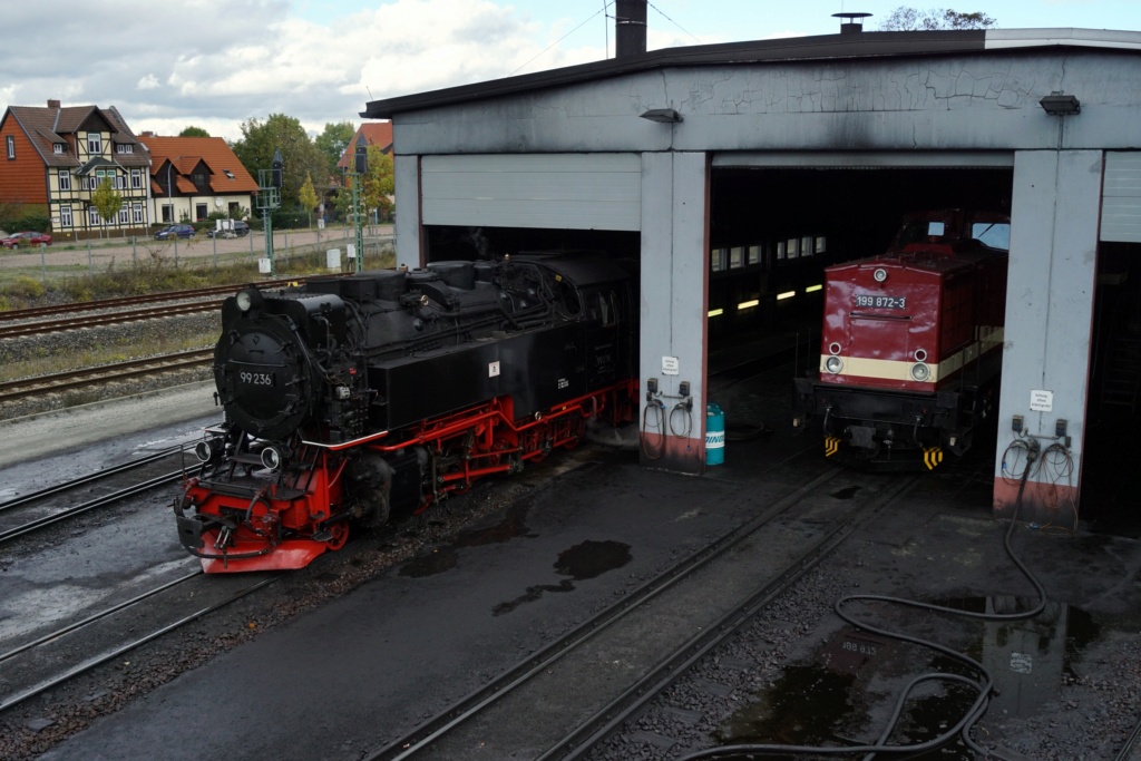 Matzes Eisenbahnfotos Dsc09221