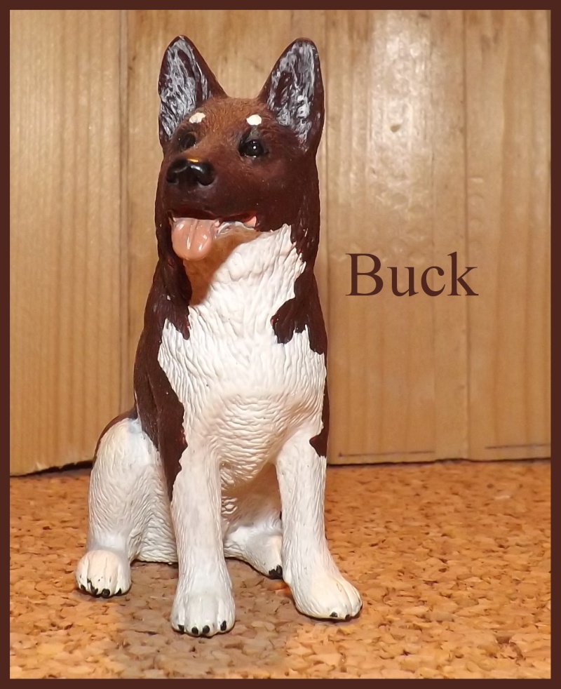 Allia17' Schleich Horse - Page 2 Buck10