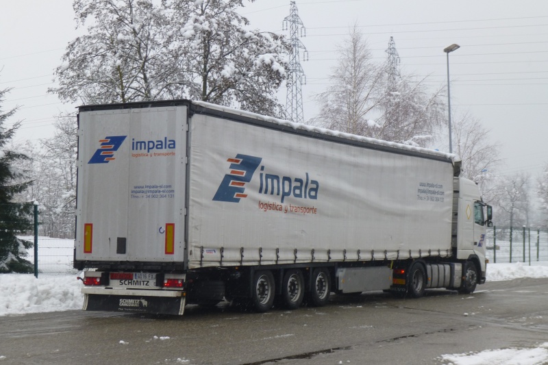Impala Transportes Papy_318