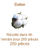 Coton Coton10