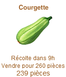 Courgette Courge10
