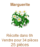 Marguerite  Margue10